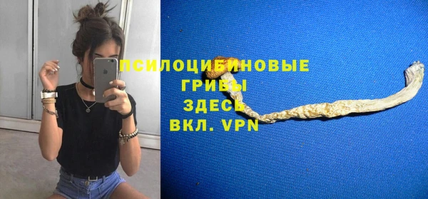 мяу мяу кристалл Алексин